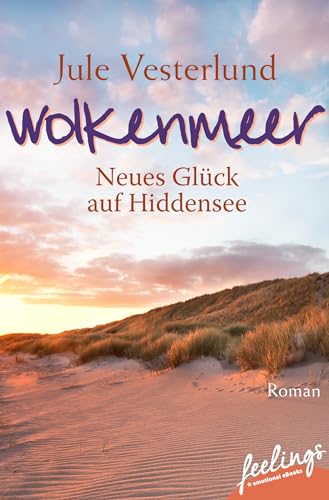 Wolkenmeer - Neues Glück auf Hiddensee: Roman von Feelings