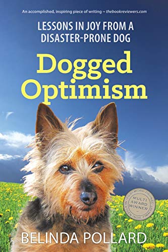 Dogged Optimism: Lessons in Joy from a Disaster-Prone Dog von Small Blue Dog Publishing Pty Ltd