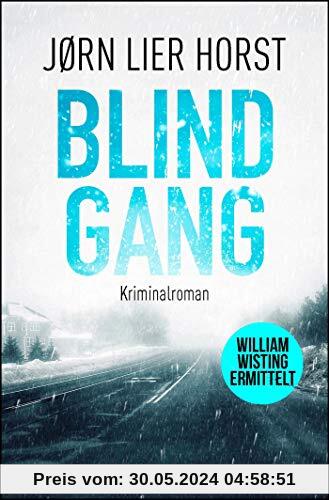 Blindgang: Ein Wisting-Roman (William-Wisting-Serie, Band 10)