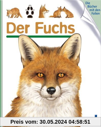 Der Fuchs: Meyers kleine Kinderbibliothek 93