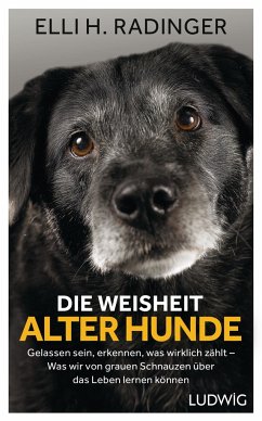 Die Weisheit alter Hunde von Ludwig, München