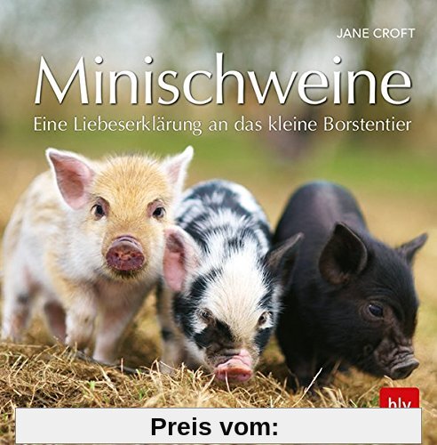 Minischweine: Eine Liebeserklärung an das kleine Borstentier