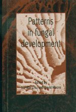 Patterns in Fungal Development von Cambridge University Press