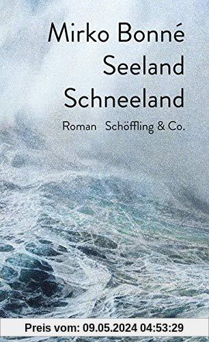 Seeland Schneeland: Roman