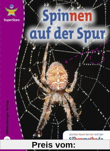 SuperStars - Sachtexte: Spinnen auf der Spur