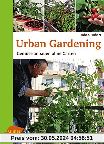 Urban Gardening: Gemüse anbauen ohne Garten