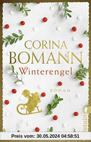 Winterengel: Roman