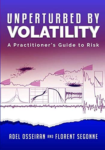 Unperturbed By Volatility: A Practitioner's Guide To Risk von Independently published