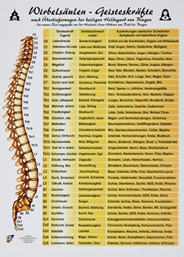 Wirbelsäulen-Geisteskräfte: A5 - Übersichtskarte (Lehrtafeln: Übersichtskarten) von FITMIT-Verlag