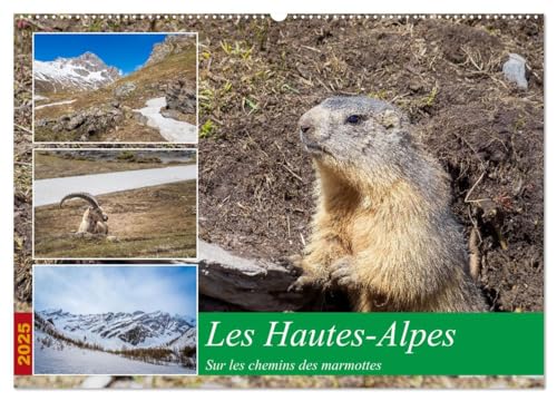 Les Hautes-Alpes sur les chemins des marmottes (Wandkalender 2025 DIN A2 quer), CALVENDO Monatskalender von CALVENDO