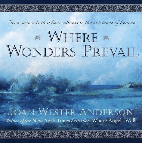 Where Wonders Prevail: True Accounts That Bear Witness to the Existence of Heaven