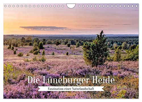 Die Lüneburger Heide - Faszination einer Naturlandschaft (Wandkalender 2024 DIN A4 quer), CALVENDO Monatskalender von CALVENDO