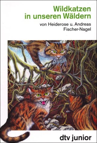 Wildkatzen in unseren Wäldern