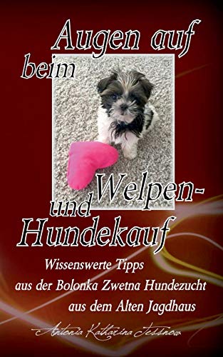 Augen auf beim Welpen- und Hundekauf: Wissenswerte Tipps aus der Bolonka Zwetna Hundezucht aus dem Alten Jagdhaus