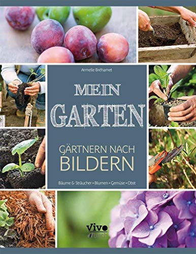 Mein Garten - nach Bildern