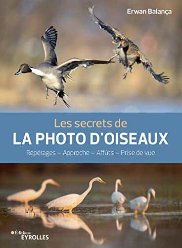 Les secrets de la photo d'oiseaux: Repérages - Approche - Affûts - Prise de vue