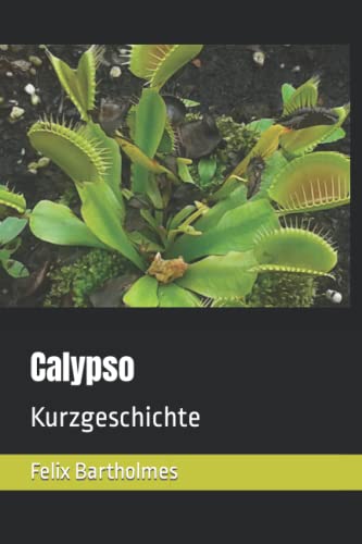 Calypso: Kurzgeschichte