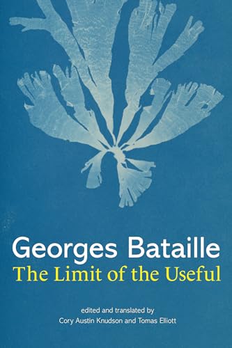 The Limit of the Useful von The MIT Press