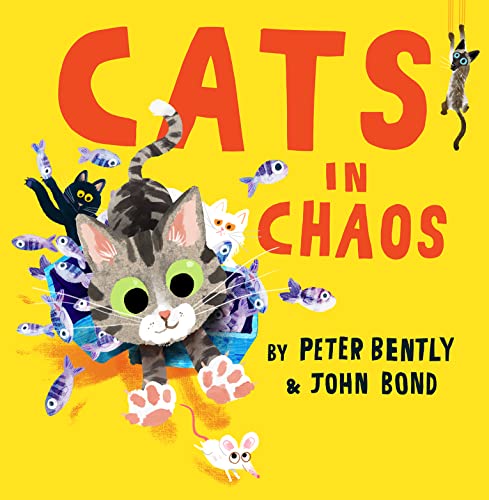 Cats in Chaos: A laugh-out-loud rhyming story, perfect for cat lovers! von HarperCollinsChildren’sBooks
