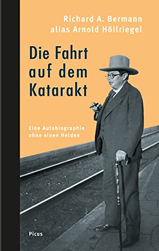 Die Fahrt auf dem Katarakt: Eine Autobiographie ohne einen Helden: Eine Autobiographie ohne Helden von Picus Verlag