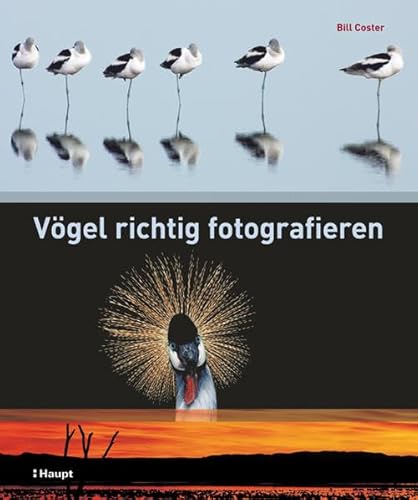 Vögel richtig fotografieren von Haupt Verlag AG