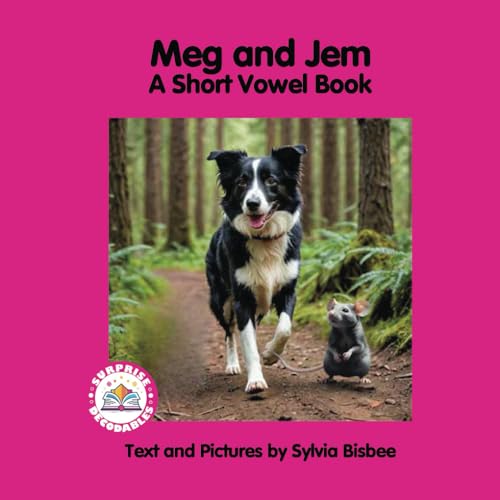 Meg and Jem: A Short Vowel Book (Surprise Decodables Level 2 Pink Series Short Vowels) von Surprise Decodables