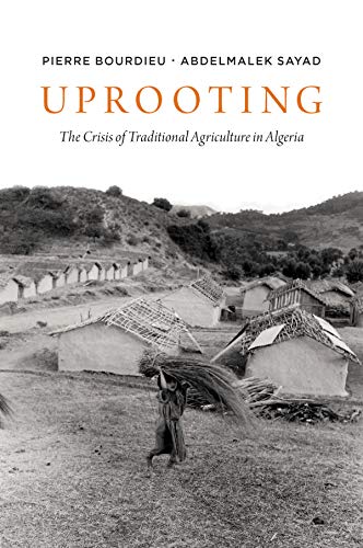 Uprooting: The Crisis of Traditional Algriculture in Algeria