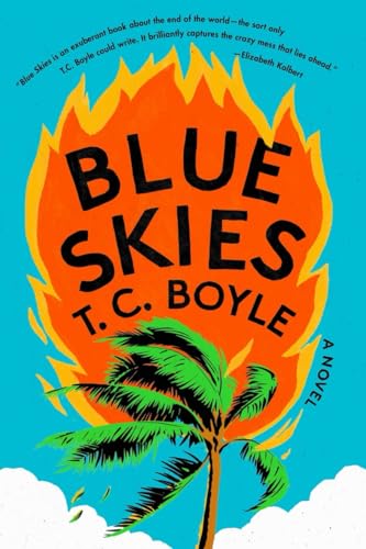 Blue Skies: A Novel von Norton & Company
