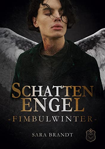 Schattenengel: Buch 4 - Fimbulwinter von Eisermann Verlag