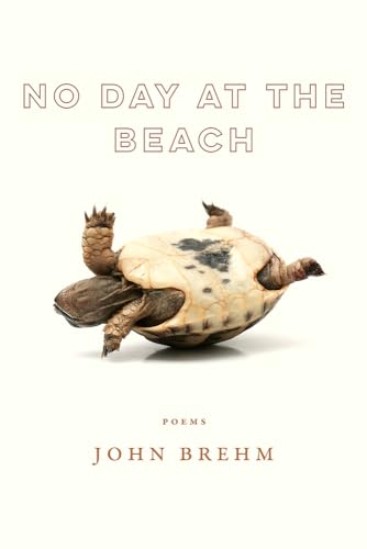 No Day at the Beach (Wisconsin Poetry)