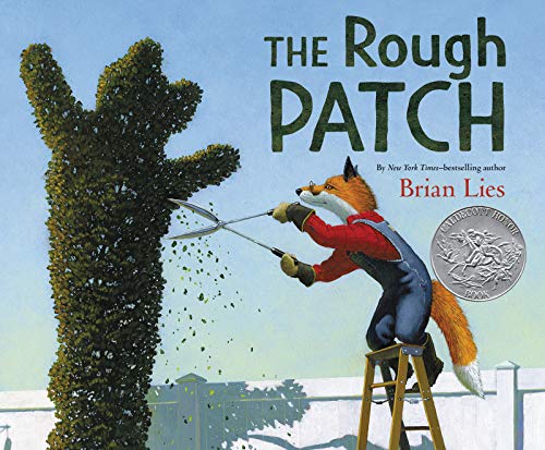 The Rough Patch: A Caldecott Honor Award Winner von Greenwillow Books