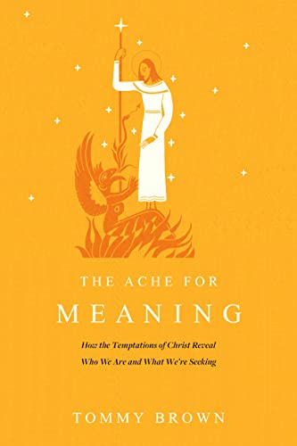 The Ache for Meaning: How the Temptations of Christ Reveal Who We Are and What We're Seeking von NavPress Publishing Group