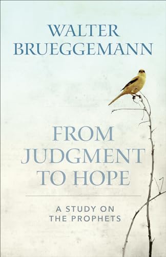 From Judgment to Hope: A Study on the Prophets von Westminster John Knox Press
