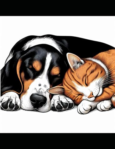 Zappa and Meow.: A Puppy Dog by the name of Zappa and an older Cat by the name of Meow and their adventures together? von Independently published