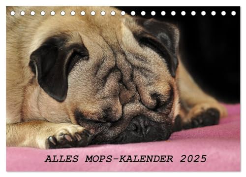 Alles Mops-Kalender 2025 (Tischkalender 2025 DIN A5 quer), CALVENDO Monatskalender von CALVENDO