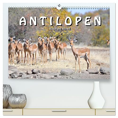 Antilopen, schön und schnell (hochwertiger Premium Wandkalender 2025 DIN A2 quer), Kunstdruck in Hochglanz von CALVENDO