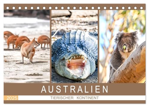 Australien, tierischer Kontinent (Tischkalender 2025 DIN A5 quer), CALVENDO Monatskalender von CALVENDO