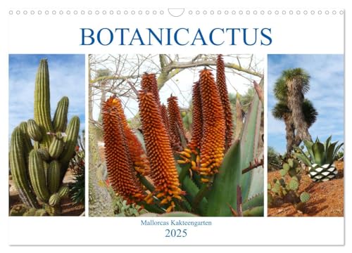 BOTANICACTUS Mallorcas Kakteengarten (Wandkalender 2025 DIN A3 quer), CALVENDO Monatskalender von CALVENDO