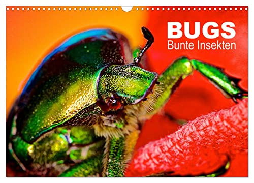 BUGS, Bunte Insekten (Wandkalender 2025 DIN A3 quer), CALVENDO Monatskalender: Makrofotografien einheimischer Insekten (CALVENDO Tiere) von Calvendo