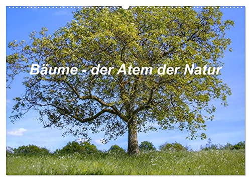 Bäume, der Atem der Natur (Wandkalender 2025 DIN A2 quer), CALVENDO Monatskalender von CALVENDO