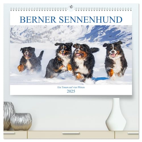 Berner Sennenhund - Ein Traum auf vier Pfoten (hochwertiger Premium Wandkalender 2025 DIN A2 quer), Kunstdruck in Hochglanz von CALVENDO