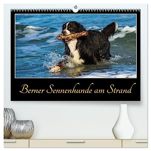 Berner Sennenhunde am Strand (hochwertiger Premium Wandkalender 2025 DIN A2 quer), Kunstdruck in Hochglanz von CALVENDO