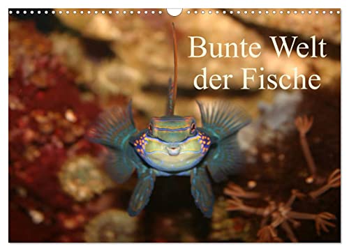 Bunte Welt der Fische (Wandkalender 2025 DIN A3 quer), CALVENDO Monatskalender von CALVENDO