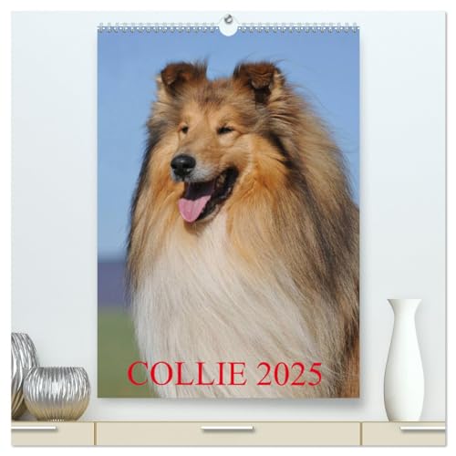 Collie 2025 (hochwertiger Premium Wandkalender 2025 DIN A2 hoch), Kunstdruck in Hochglanz von CALVENDO