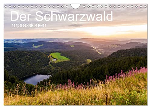 Der Schwarzwald Impressionen (Wandkalender 2025 DIN A4 quer), CALVENDO Monatskalender von CALVENDO