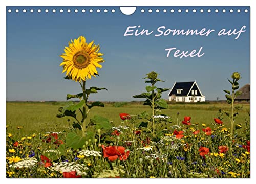 Ein Sommer auf Texel (Wandkalender 2025 DIN A4 quer), CALVENDO Monatskalender von CALVENDO