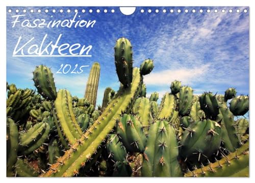 Faszination Kakteen (Wandkalender 2025 DIN A4 quer), CALVENDO Monatskalender von CALVENDO