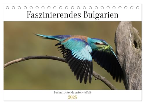 Faszinierendes Bulgarien (Tischkalender 2025 DIN A5 quer), CALVENDO Monatskalender von CALVENDO