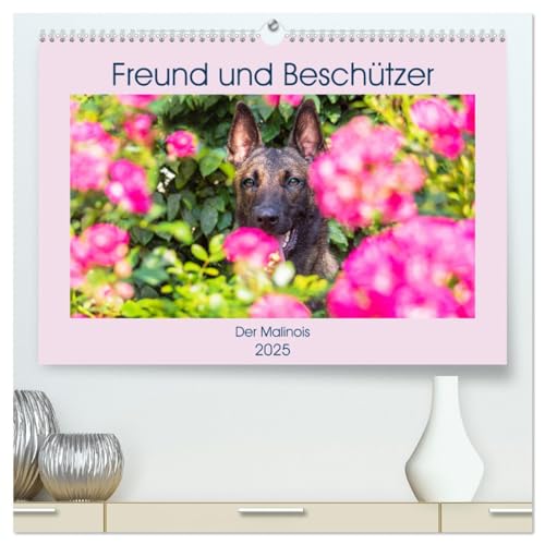 Freund und Beschützer - Der Malinois (hochwertiger Premium Wandkalender 2025 DIN A2 quer), Kunstdruck in Hochglanz von CALVENDO