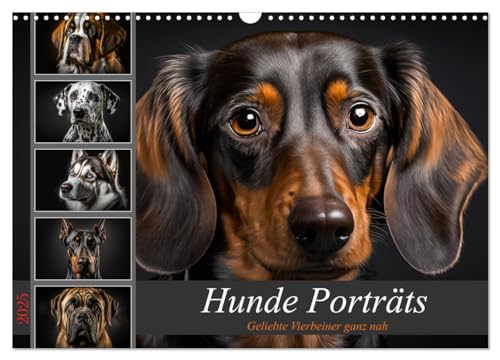 Hunde Porträts (Wandkalender 2025 DIN A3 quer), CALVENDO Monatskalender von CALVENDO